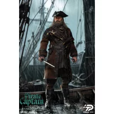 Pirate Captain Collectible...