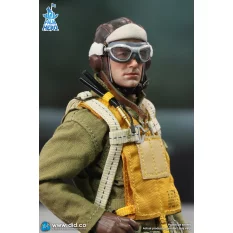WWII U.S. Army Air Force Pilot Captain Rafe Palm Hero Series Action Figurine 1/12 DID XA80032