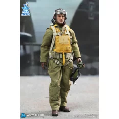 WWII U.S. Army Air Force Pilot Captain Rafe Palm Hero Series Action Figurine 1/12 DID XA80032