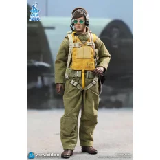 WWII U.S. Army Air Force Pilot Captain Rafe Palm Hero Series Action Figurine 1/12 DID XA80032