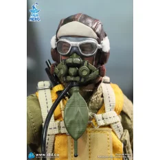 WWII U.S. Army Air Force Pilot Captain Rafe Palm Hero Series Action Figurine 1/12 DID XA80032