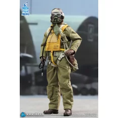 WWII U.S. Army Air Force Pilot Captain Rafe Palm Hero Series Action Figurine 1/12 DID XA80032
