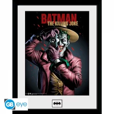 DC Comics Framed Print "The...
