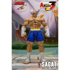 Street Fighter Alpha 3...