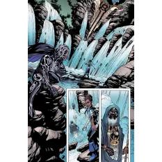 Predator Vs Black Panther Comics *French*