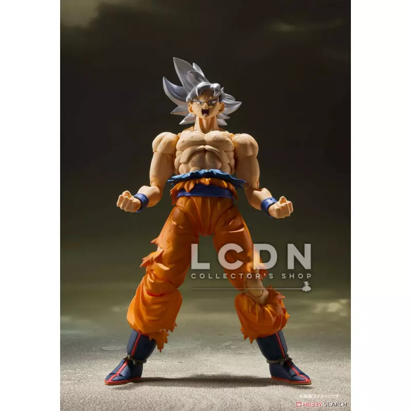 Dragon Ball Z Piccolo Costume Set (Anime Toy) - HobbySearch Anime Goods  Store