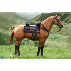 Brown-Red War Horse Cheval...