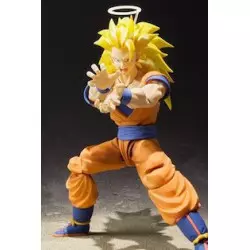 Dragon Ball Z S.H. Figuarts...