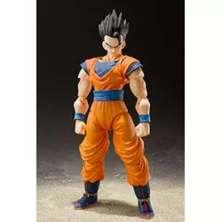 Dragon Ball Z S.H. Figuarts...