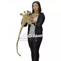 Aliens réplique mousse 1/1 Facehugger 105 cm