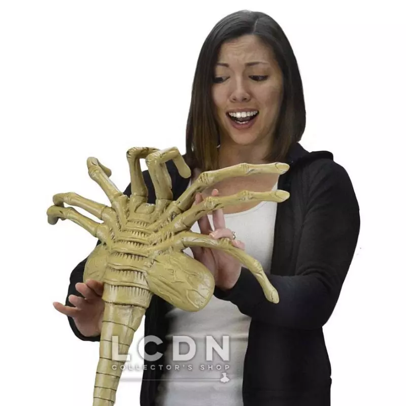 Aliens réplique mousse 1/1 Facehugger 105 cm