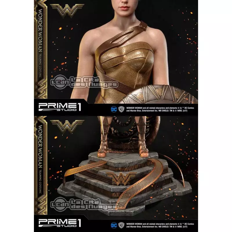 Wonder woman training clearance