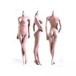 Phicen female seamless body...