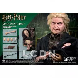 Harry Potter Queudver ( Wormtail ) Peter Pettigrow Deluxe Star Ace SA0073 Action Figurine 1/6