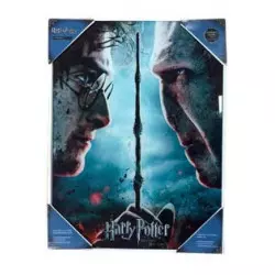 Harry Potter Glass Poster...