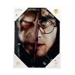 Harry Potter Glass Poster...