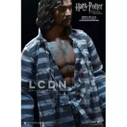 Harry Potter My Favourite Movie Action Figure 1/6 Sirius Black Prisoner Version 30cm
