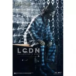 Harry Potter My Favourite Movie Action Figure 1/6 Sirius Black Prisoner Version 30cm