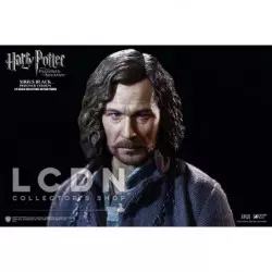 Harry Potter My Favourite Movie Action Figure 1/6 Sirius Black Prisoner Version 30cm