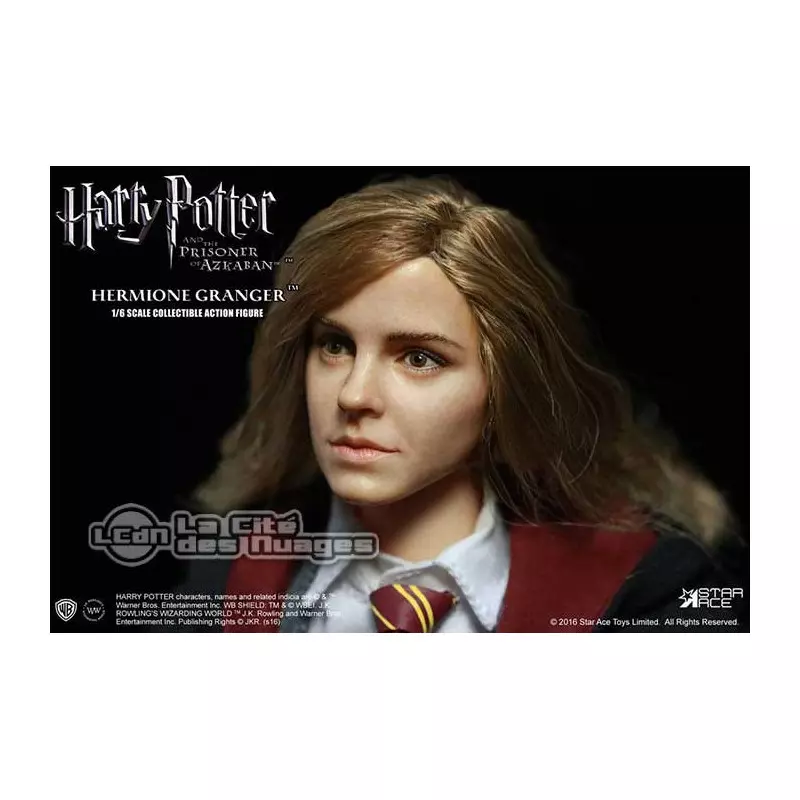 figure - Hermione Granger with Crookshanks 14 cm - Boutique Harry Potter