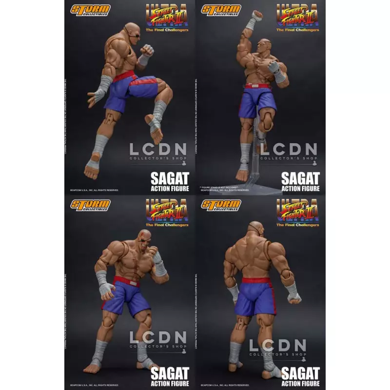 Ultra Street Fighter II The Final Challengers Action Figure 1 12