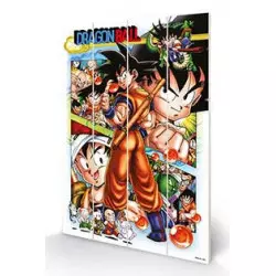 Dragon Ball Wood Prints...