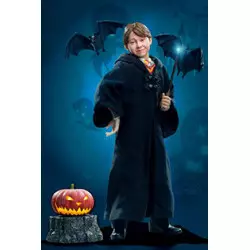 Harry Potter My Favourite...