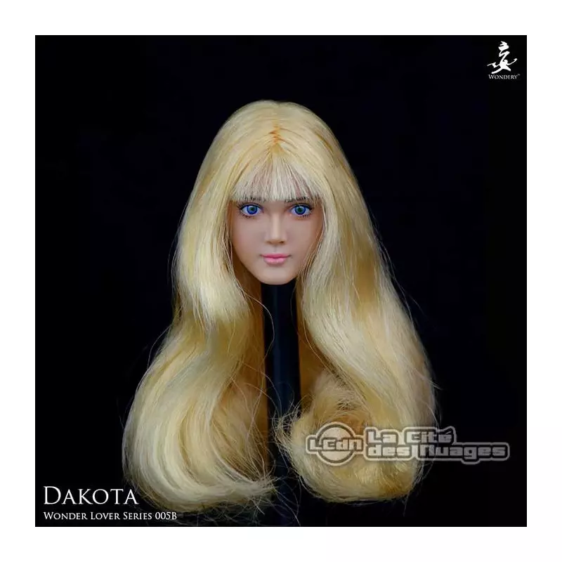 Dakota Head Sculpt 1/6 Wonder Lover Series WONDERY W005B
