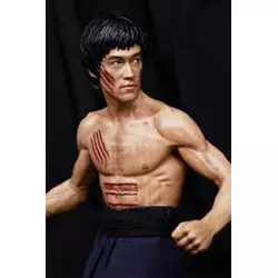 Bruce Lee Dragon Fighting...