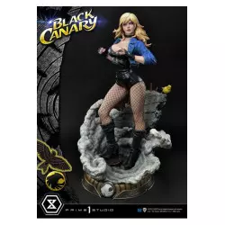 DC Comics statue 1/3 Black...