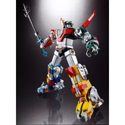 Voltron: Defender of the...