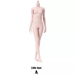 XING Series Modified Version Super flexible Pale Body Small Bust 1/6 POPTOYS 92006 A