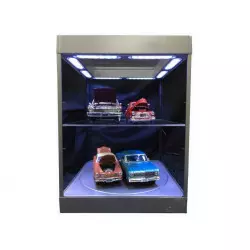 Welloux Vitrine pour mini figurines d'action avec système d'éclairage pour  figurines pop et jouets de collection, 30 x 23,1 x 17 cm, vitrine  anti-poussière : : Jeux et Jouets