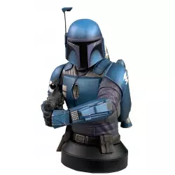 Star Wars The Mandalorian...