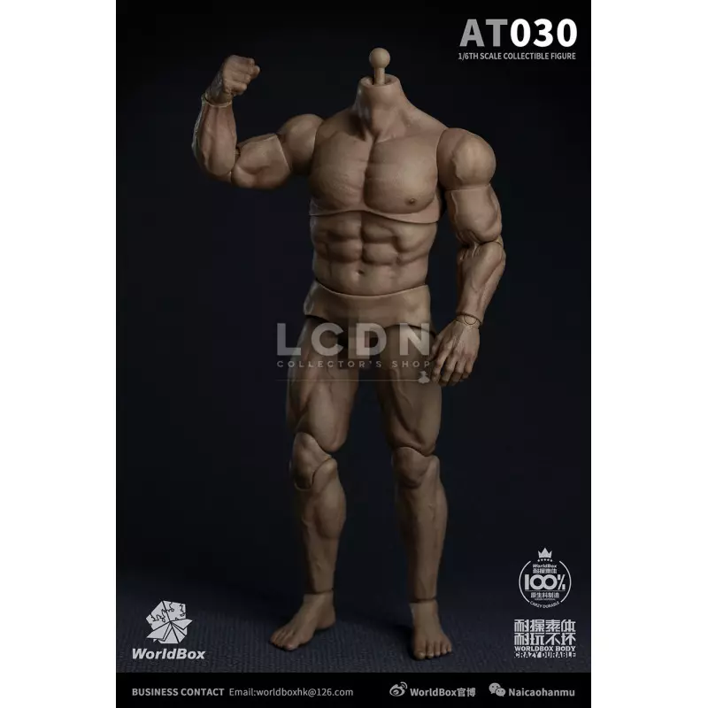 Male Durable Muscular Body Action Figure 1/6 Worldbox AT030