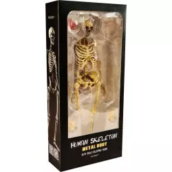 Coomodel BS011 Diecast 1/6 Human Skeleton Metal Body