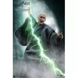 Harry Potter Action Figure...