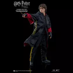 Harry Potter Action Figure...