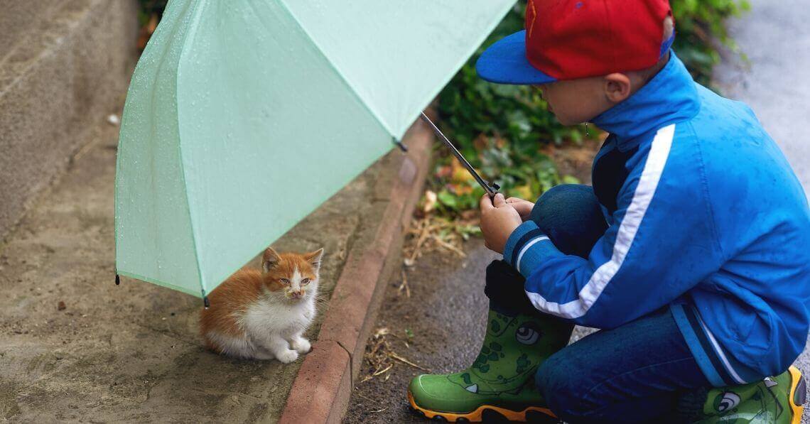 A boy holding an umbrella over a kitten