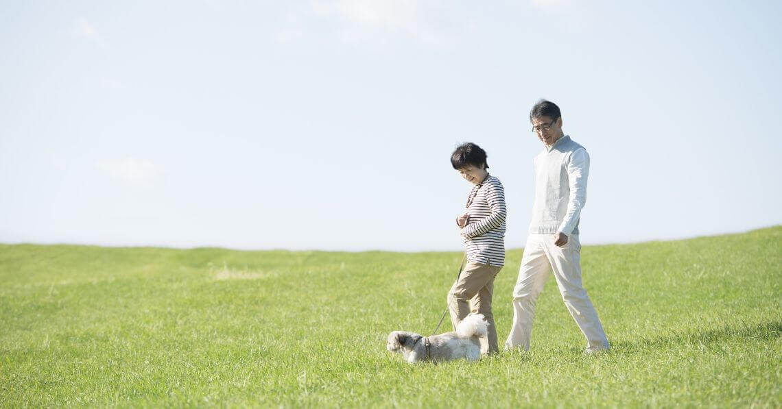 A couple walking their dog in a field