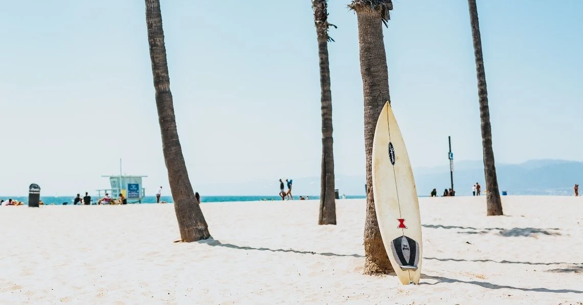 Surf board leaning on a tree in the beach