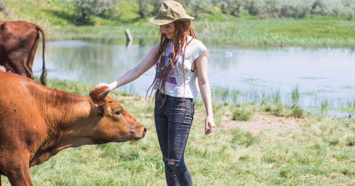 A young woman petting a cow in an open field