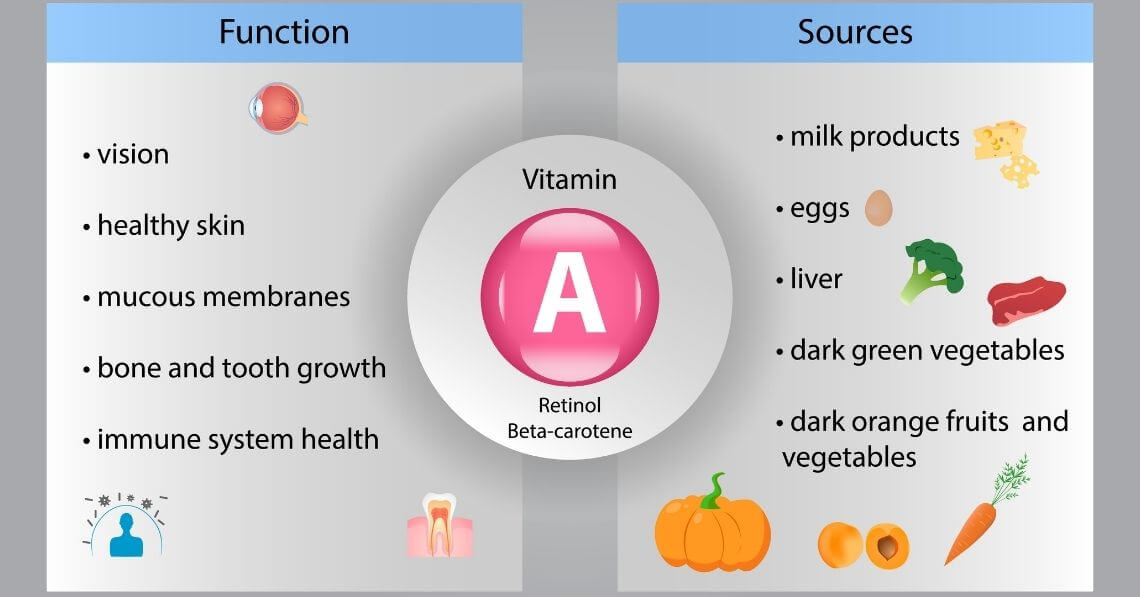 Sources and functions of Vitamin A