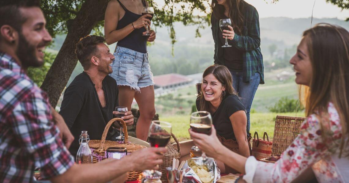 Young friends enjoying wine in a picnic