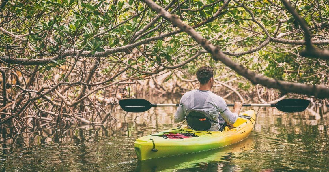 Man kayaking in mangroves