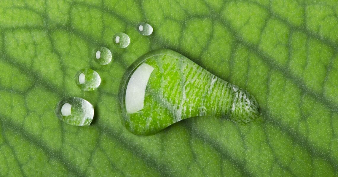 a footprint made from water droplets