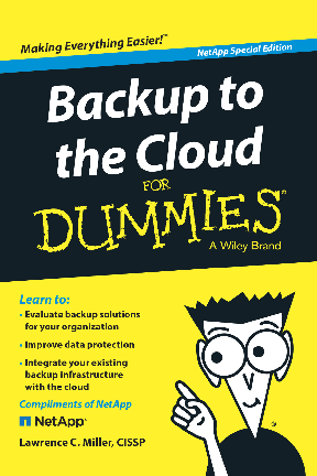 netapp vorteile dummies migrate