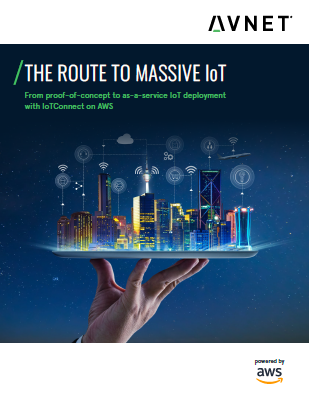 THE ROUTE TO MASSIVE IoT