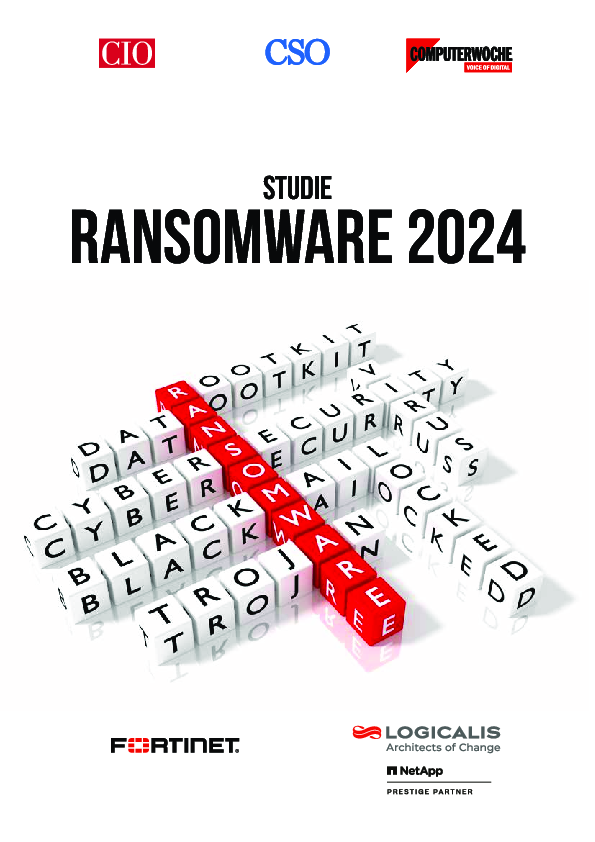 Ransomware 2024: Ergebnisberichtsband 