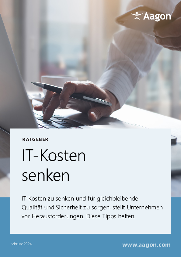 Ratgeber IT-Kosten senken